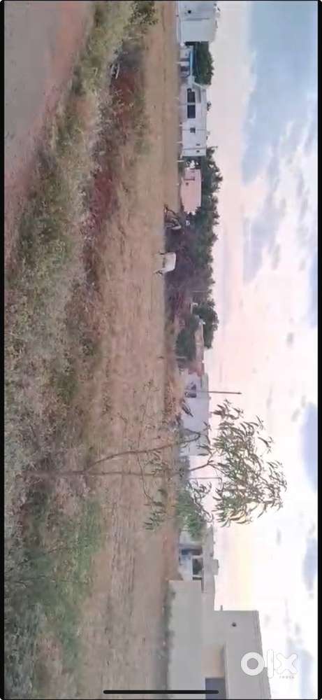 Land backside madurai Aims