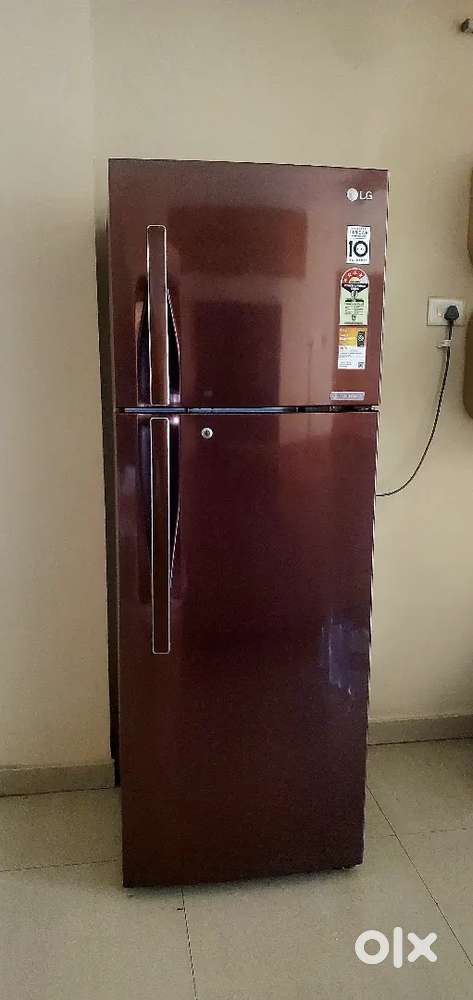LG Double Door 335 Lts Refrigerator