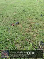 Varanasi sell plot Gopalpur korauta lohta