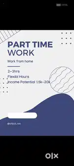 Online business (work from home)