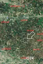 3.5 વિઘા ખેતી લાયક જમીન | 3.5 Bigha Agricultural Land | Plot