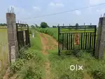 Agriculture land for Sale