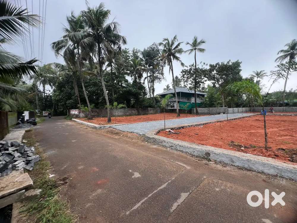 Nedumbassery near athani kottayi 4,5,10 cent house plot for sale