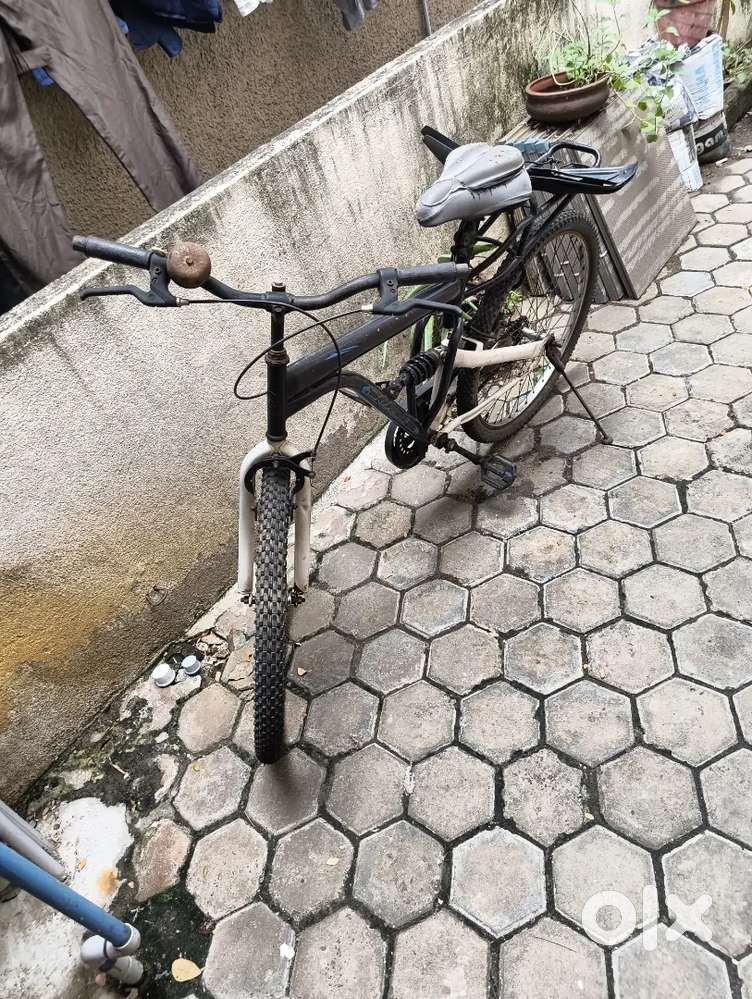 Modified Bicycle with Mountain Tyres customised Paint