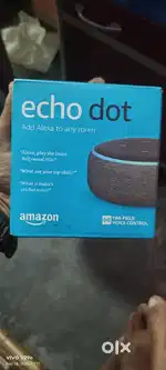 Amazon echo dot alexa