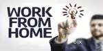work from home job