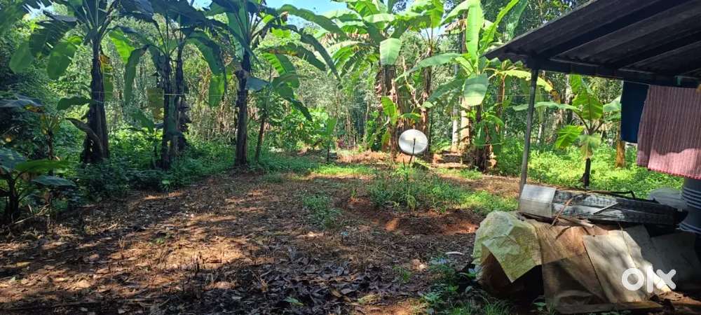 വസ്തു വില്പനക്ക്