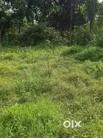 3 kotha land sell near at NRL Golaghat.