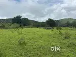 5 Acre Farm Land with Hill View & Stream – Mudigere