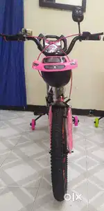 Pink with black cycle