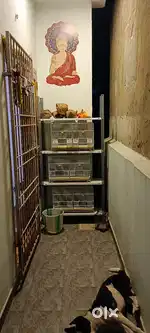 Iron rack.