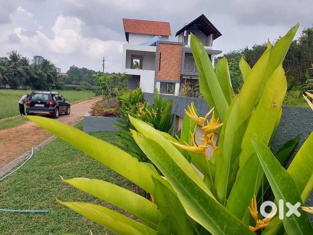 House in a picture-perfect location Kakkanad