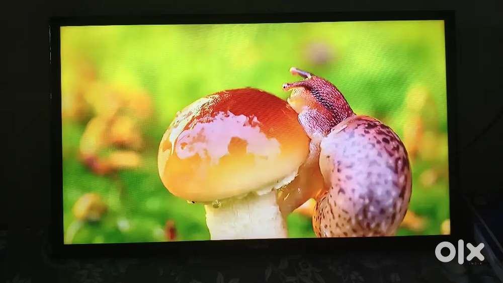 Samsung  led 32 inches smart