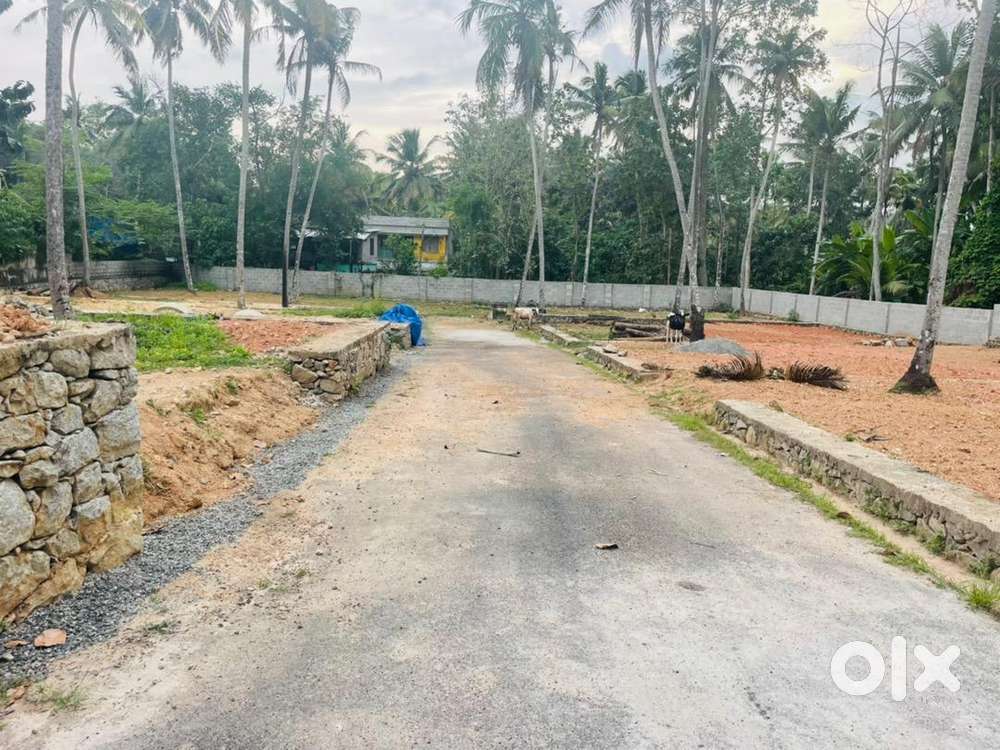 4,5cent Edavakode Sreeekariyam