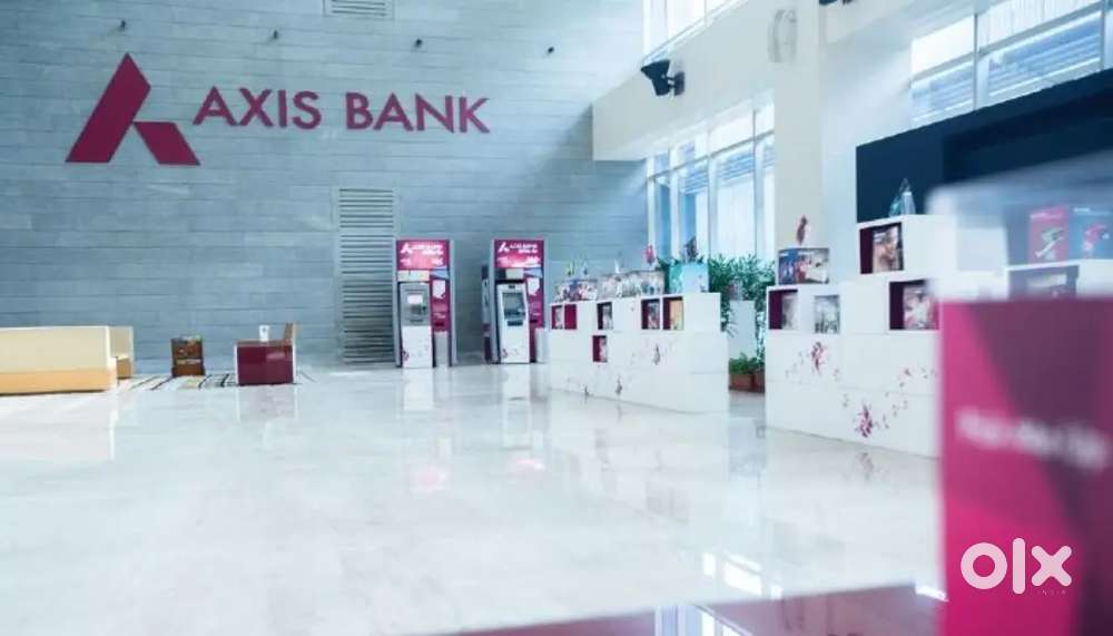 AXIS BANK FIELD EXECUTIVE
