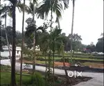 Budget House Plots for sale near Rajagiri Hospital Aluva and Airport.
