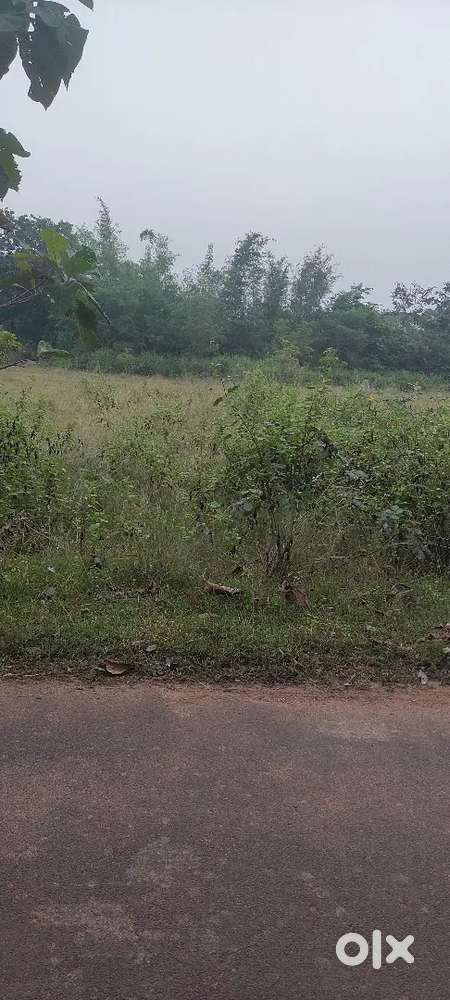 Land for sale