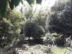 6  acares of land for sale in idukki district, konnathady panchayath