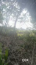 5Katha to 20katha Farmland available for sale on Khariberia Rd,kolkata