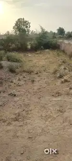 Uttarpradesh Ajitmal plots