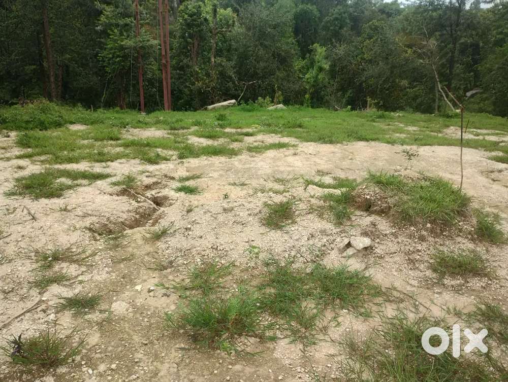 Plots are sale  Near Palampur.