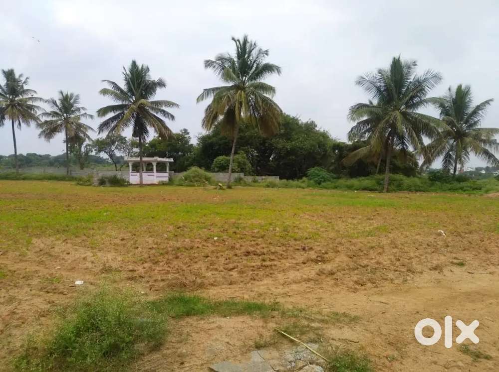 Gowrammana kere 4 acres of agricultura land available for sale.