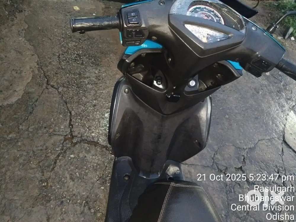 Seal  scooty