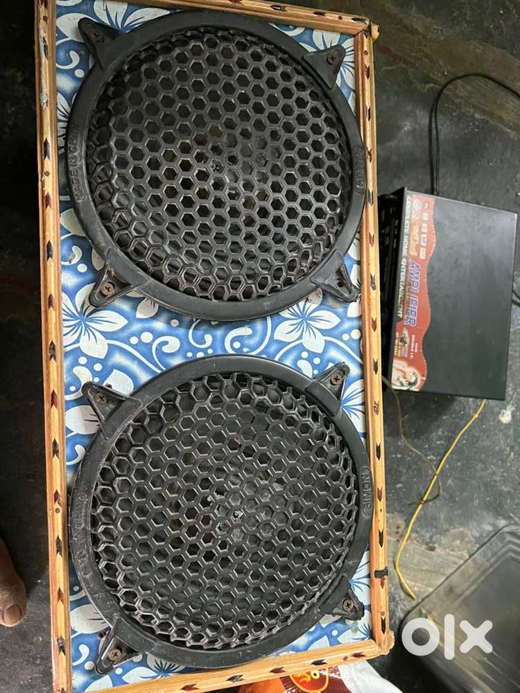Speaker with amplifier