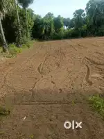 Farm land for sale