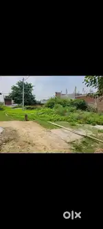 1500 sqft East facing  plot for sale in Gomtinagar opp to shailimar