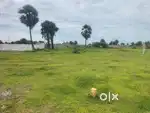 Low Budget Big Plot in Bharathi Nagar, Nattapetai, Kanchipuram