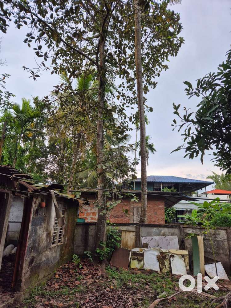 Residential Plot for Sale