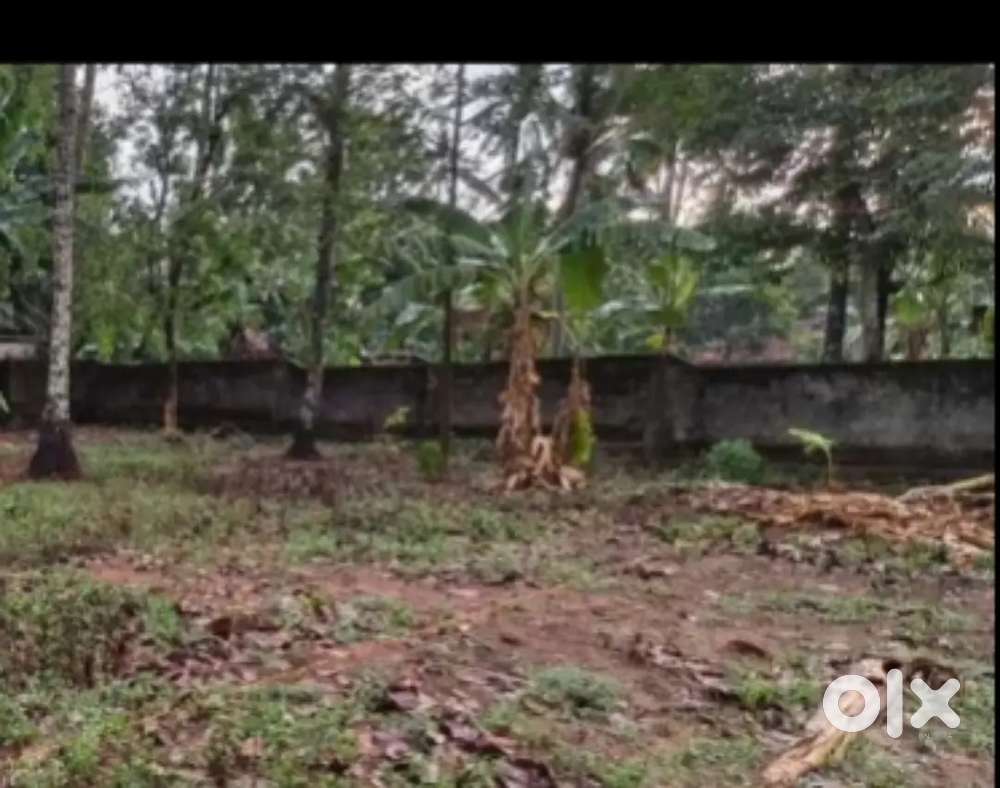 15 cent with vechile access rectangular plot with boundary wall