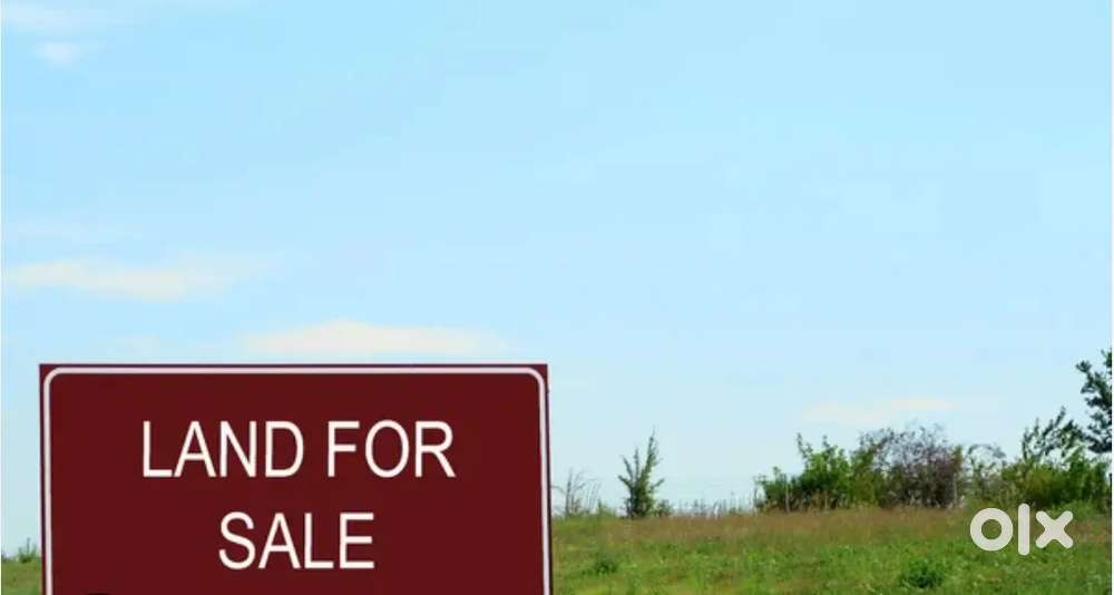 Land or house for sell