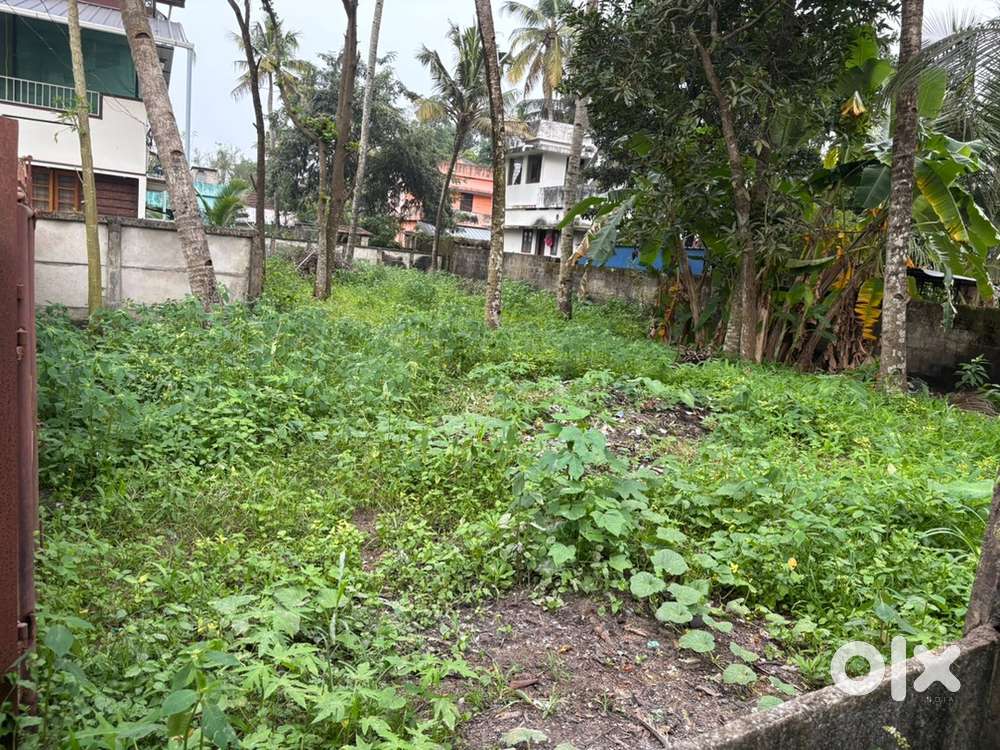 10-cent plot for sale near Kollam Bypass
