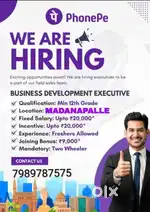 Business development executive