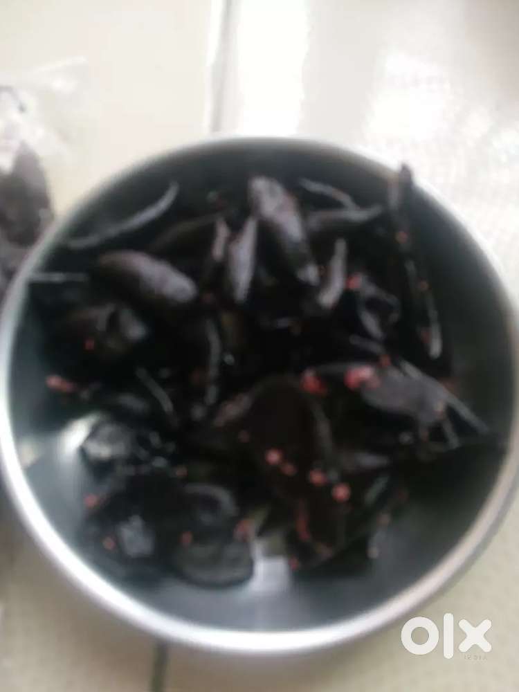 Kokam 500gram. Rs 150/tirfal 50 .50 gram.