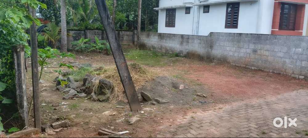 Muppathadam 3.4 cent plot for sale