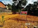 Plot for rent