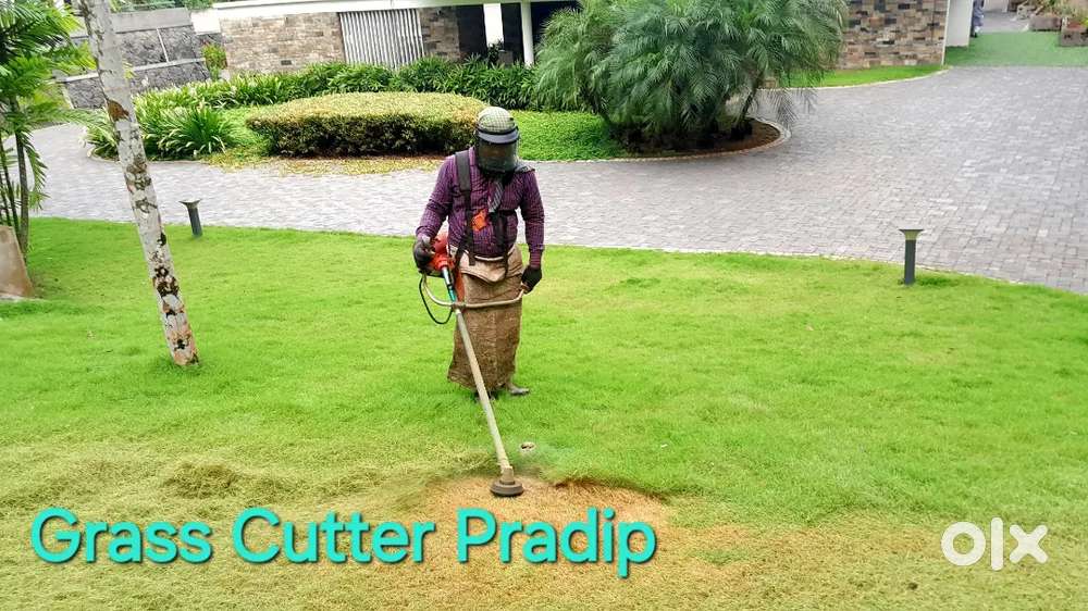 GRASS CUTTING SERVICES