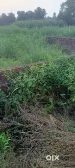 Jeetpur me  plots hai