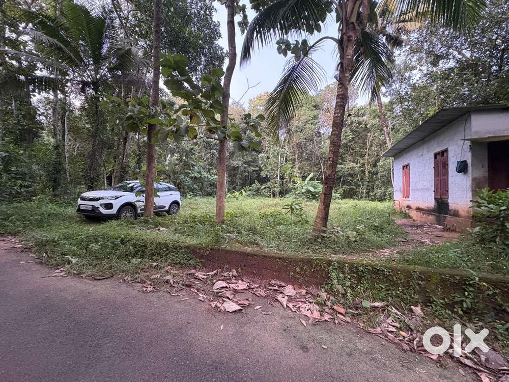 23Cent square plot for sale at KCT Junction Sooranad