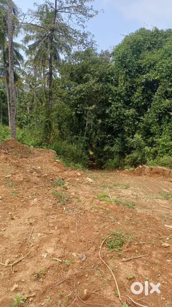 93 CENT PLOT