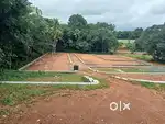 മുളന്തുരുത്തി ടൗണിൽ ഹൗസ് പ്ലോട്ടുകൾ