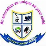 Caliber Convent School is  looking for enthusiastic teachers to join
