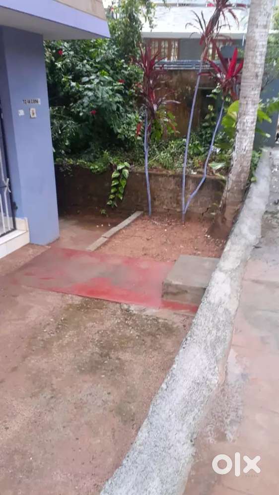 House for rent