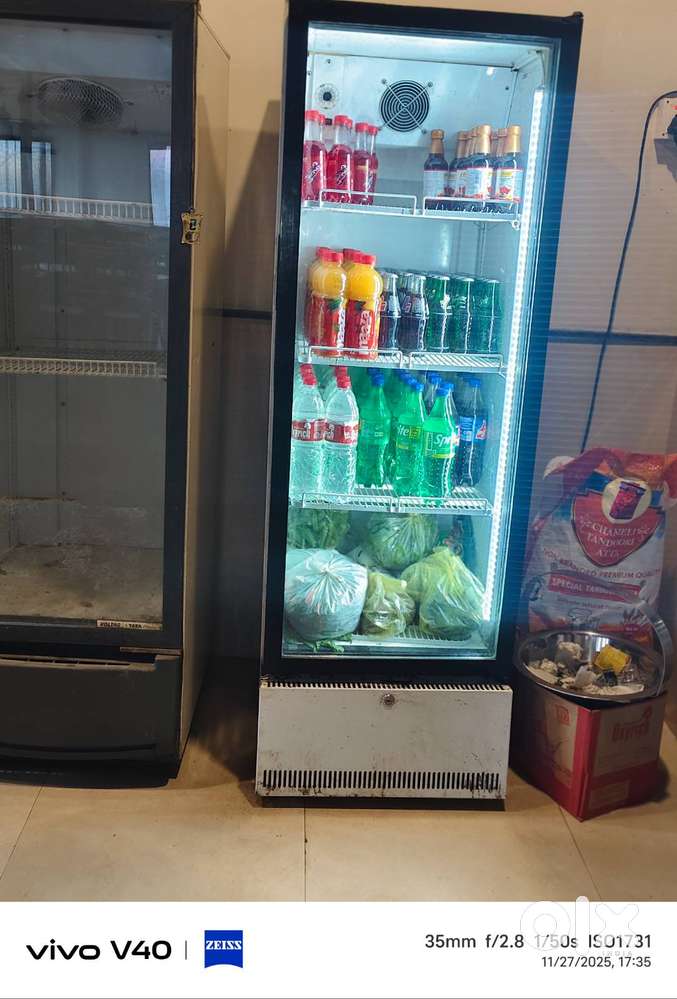 Cold drink freezer display freezer blue star 375 litter