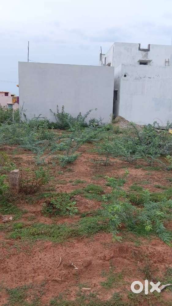 Rajakambeeram Murali Plot