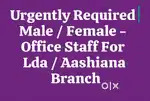 Need Female Staff for Computer institute