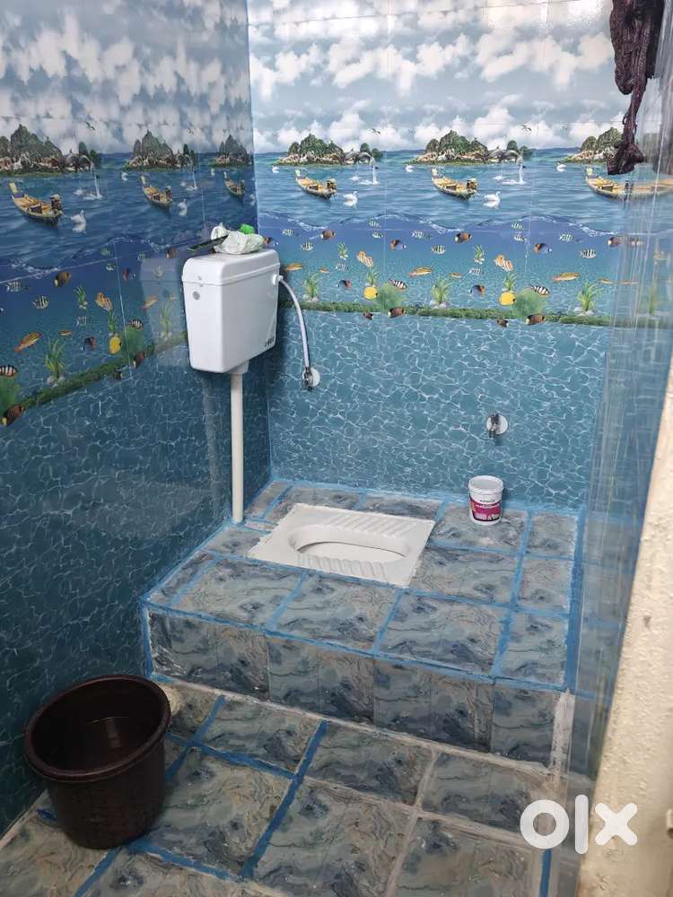 Need girl room mate for sharing the room